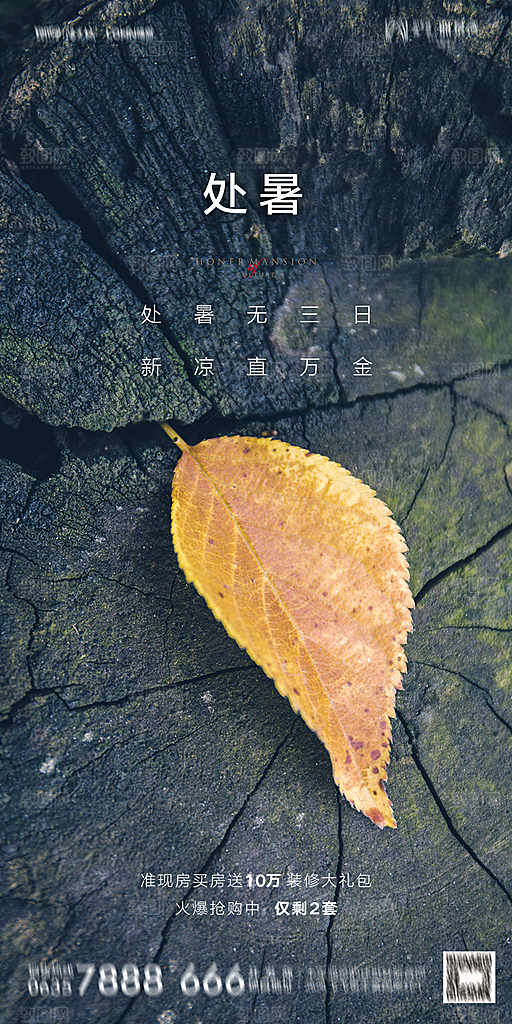 地产二十四节气处暑简约大气海报