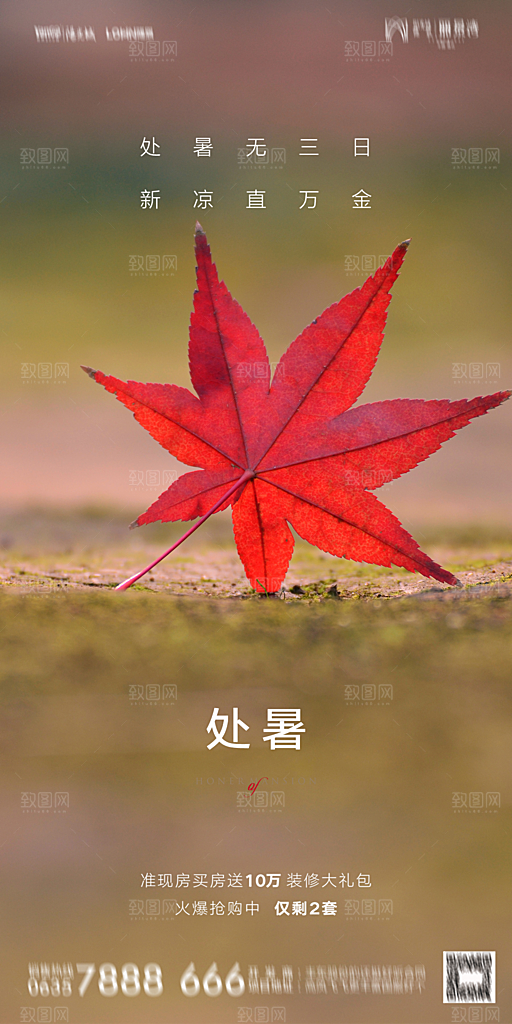 地产二十四节气处暑简约大气海报