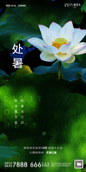 地产二十四节气处暑简约大气海报