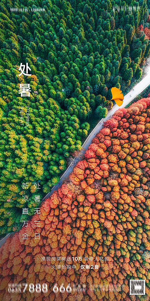 地产二十四节气处暑简约大气海报