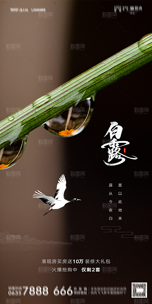 地产白露寒露节气简约大气海报