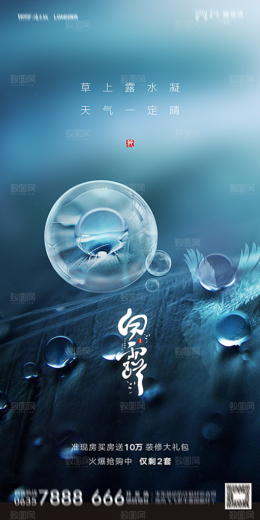 地产白露寒露节气简约大气海报