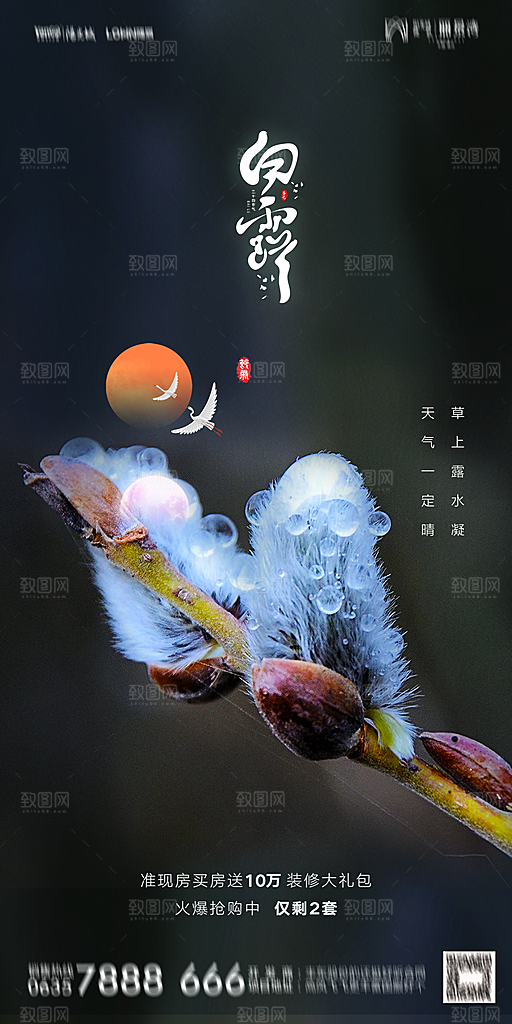 地产白露寒露节气简约大气海报