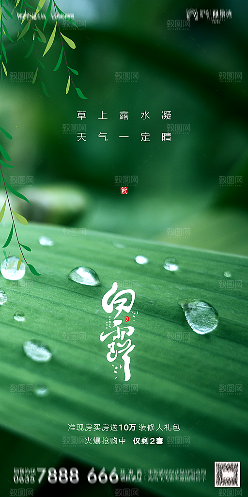 地产白露寒露节气简约大气海报