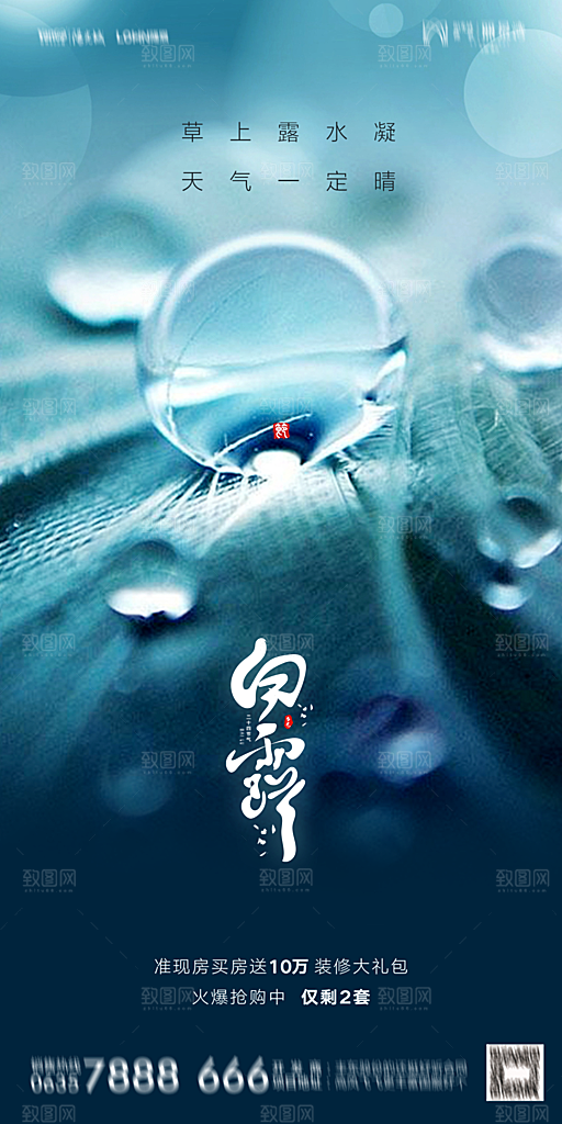 地产白露寒露节气简约大气海报