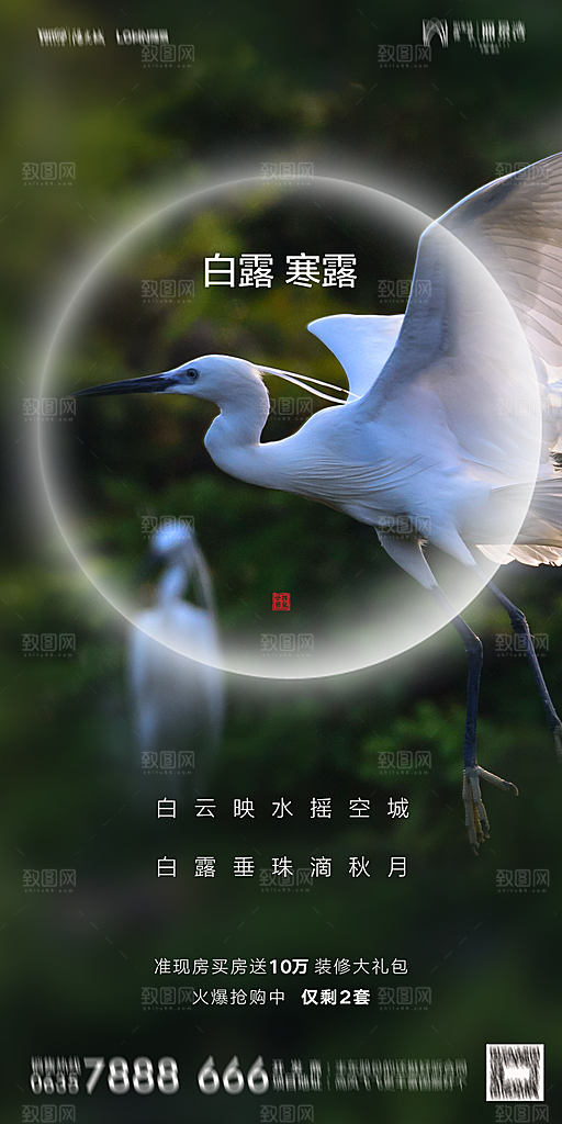 地产白露寒露节气简约大气海报