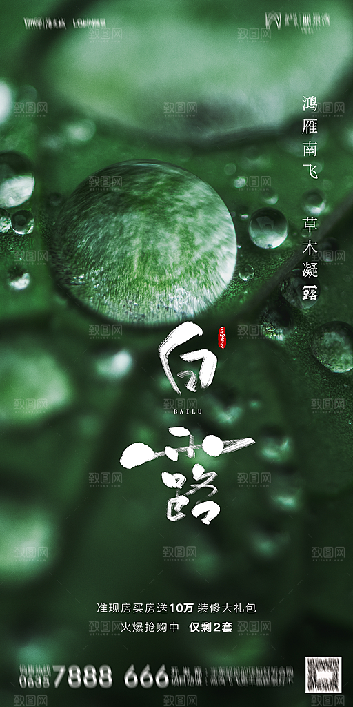 地产白露寒露节气简约大气海报
