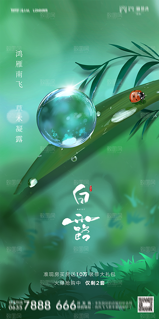 地产白露寒露节气简约大气海报