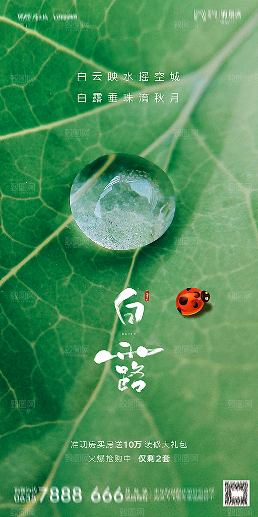 地产白露寒露节气简约大气海报