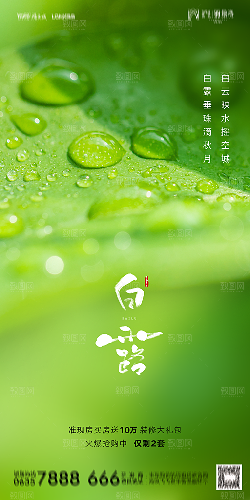 地产白露寒露节气简约大气海报
