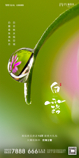 地产白露寒露节气简约大气海报