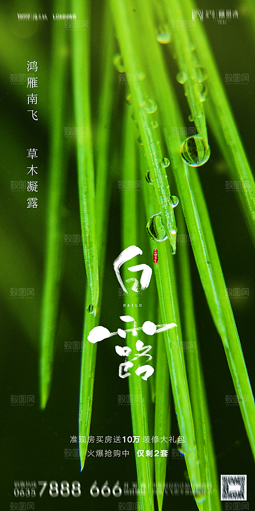 地产白露寒露节气简约大气海报