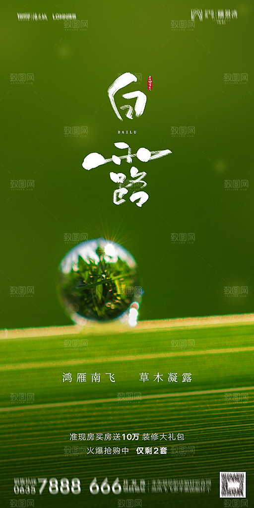 地产白露寒露节气简约大气海报