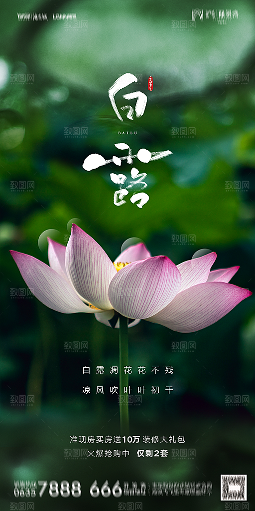 地产白露寒露节气简约大气海报