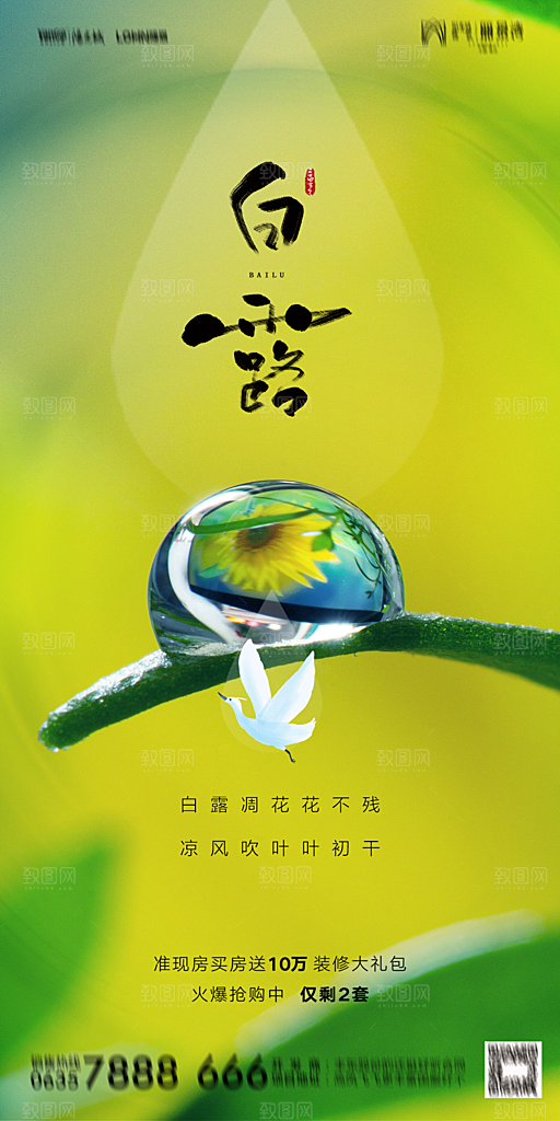 地产白露寒露节气简约大气海报