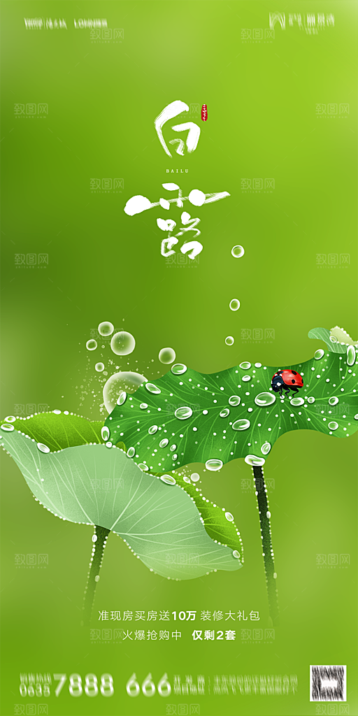 地产白露寒露节气简约大气海报