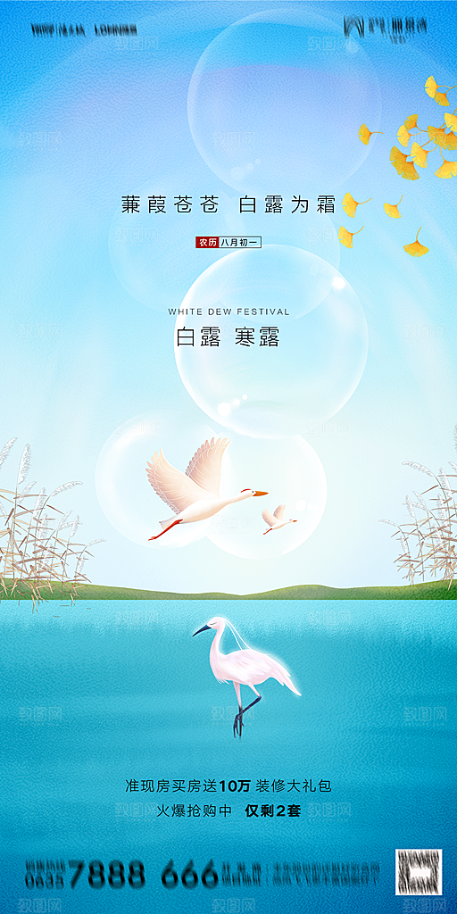地产白露寒露节气简约大气海报
