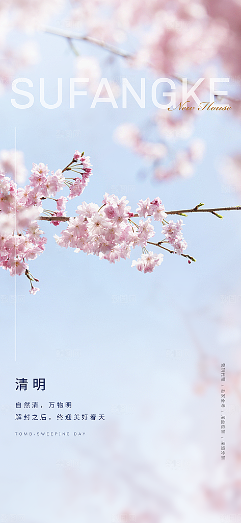 中国传统节气竹子清明手机海报