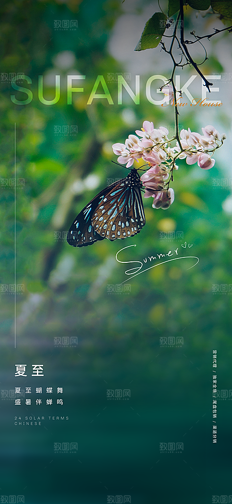 中国传统节气竹子夏至手机海报