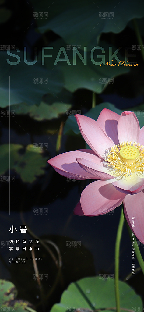 中国传统节气竹子小暑手机海报