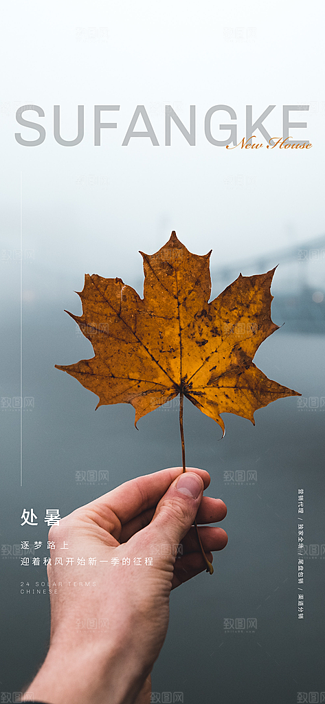 中国传统节气竹子处暑手机海报