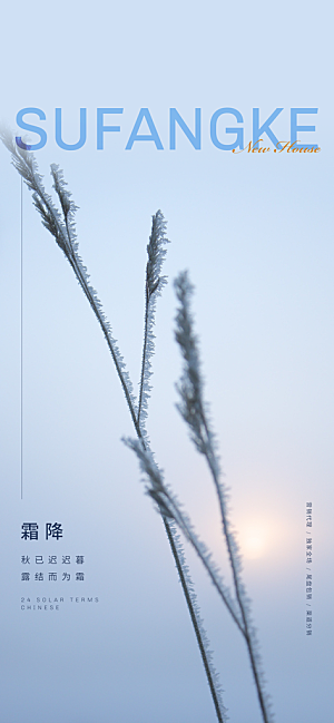 中国传统节气竹子立春手机海报