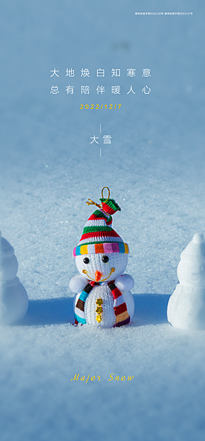 中国传统节气大雪摄影图简约大气手机海报