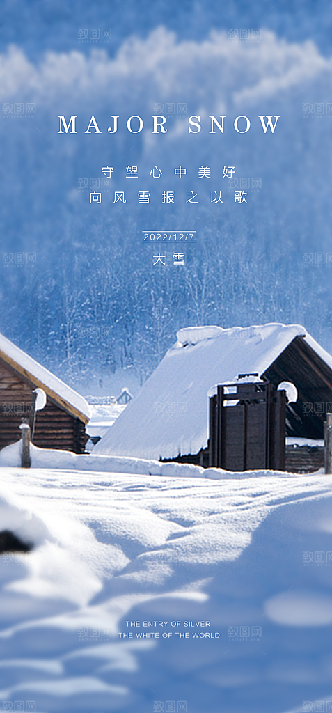 中国传统节气大雪摄影图简约大气手机海报