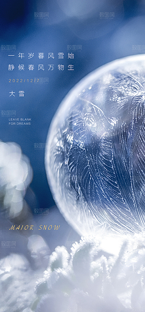中国传统节气大雪摄影图简约大气手机海报