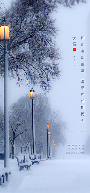 中国传统节气大雪摄影图简约大气手机海报