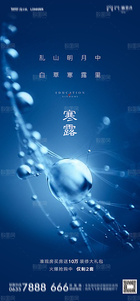 地产二十四节气寒露简约大气海报