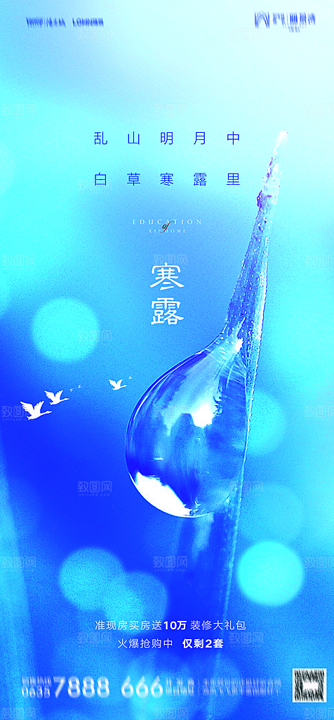 地产二十四节气寒露简约大气海报