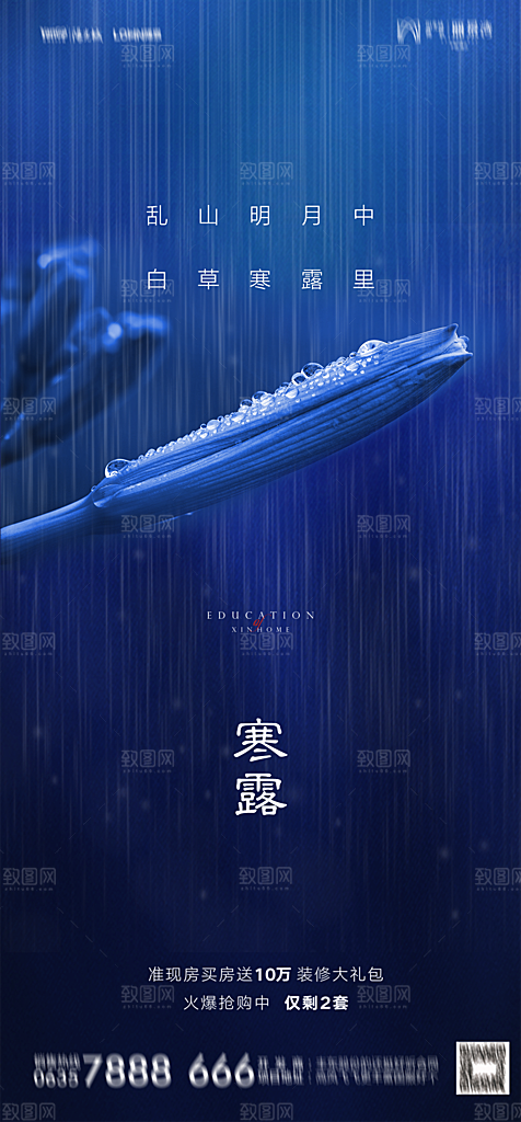 地产二十四节气寒露简约大气海报