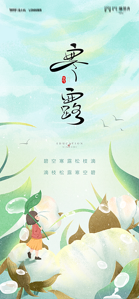 地产二十四节气寒露简约大气海报