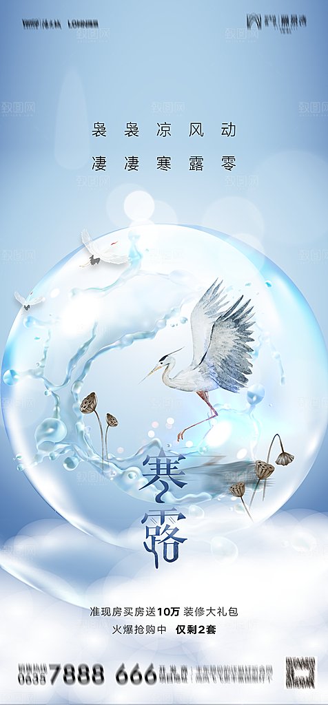 地产二十四节气寒露简约大气海报