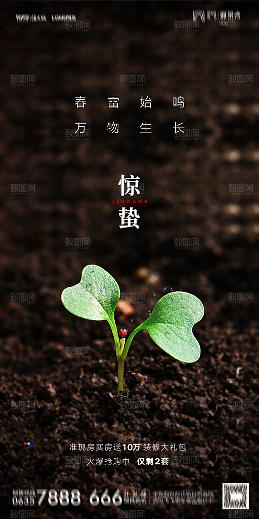 地产二十四节气惊蛰简约大气海报