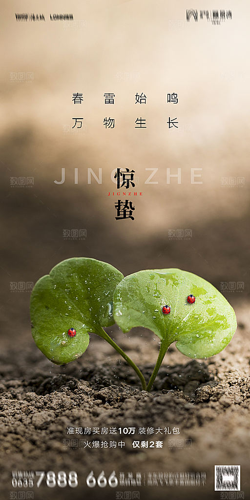 地产二十四节气惊蛰简约大气海报