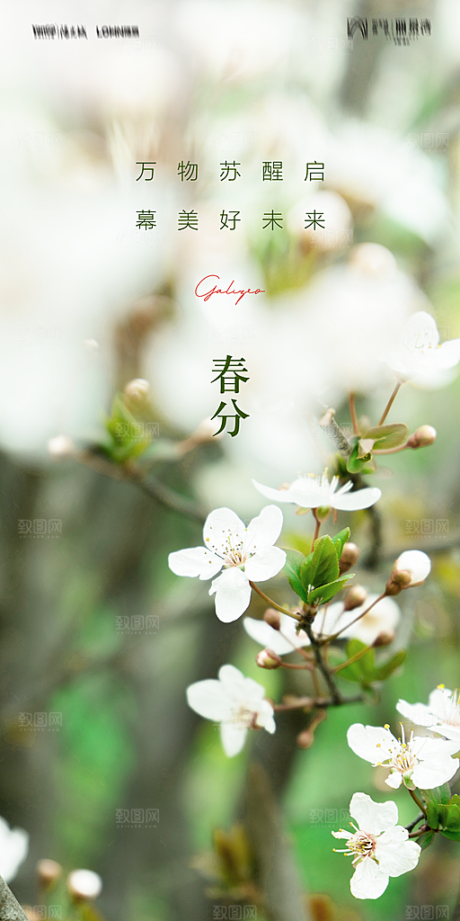 地产二十四节气惊蛰简约大气海报