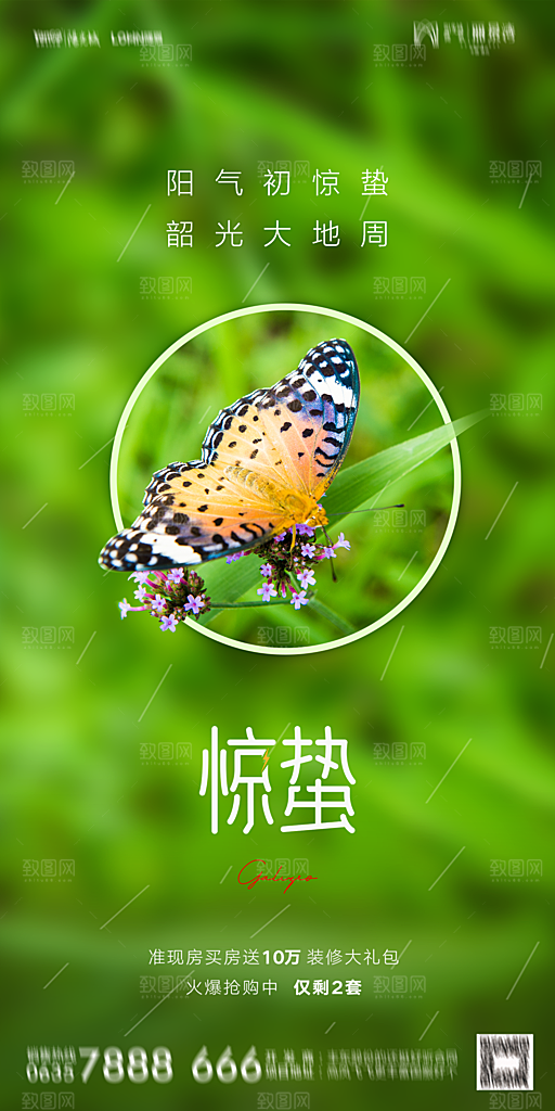 地产二十四节气惊蛰简约大气海报