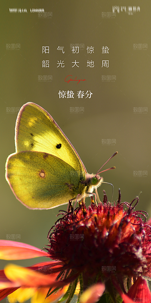地产二十四节气惊蛰简约大气海报