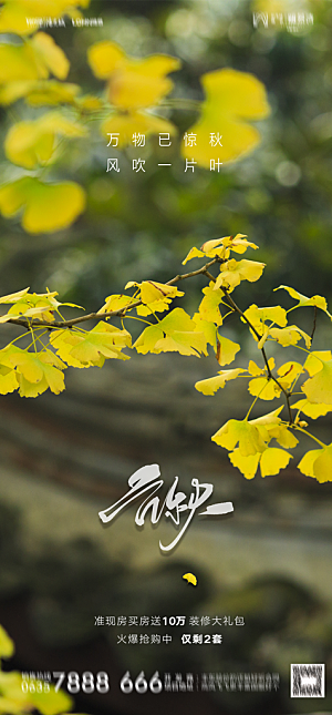 地产二十四节气立秋简约大气海报