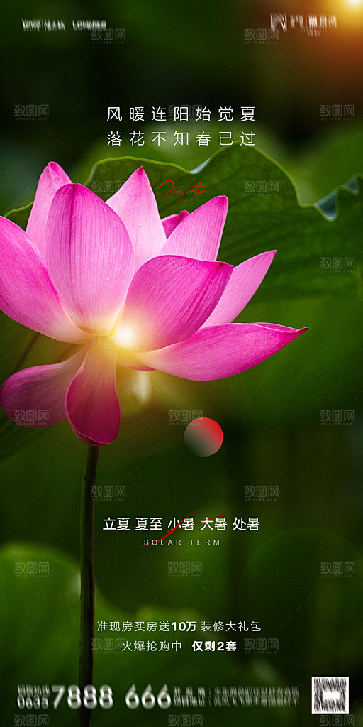 地产二十四节气立夏简约大气海报