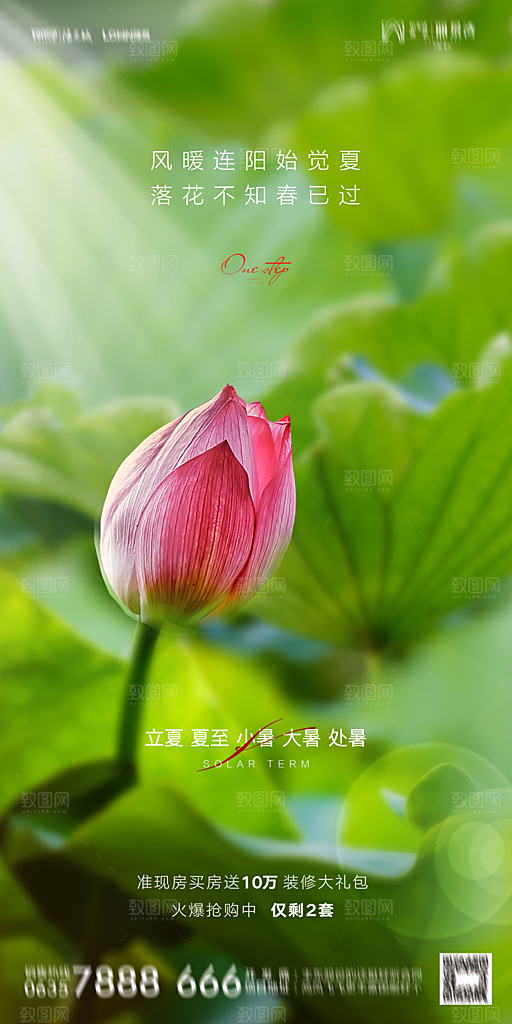地产二十四节气立夏简约大气海报