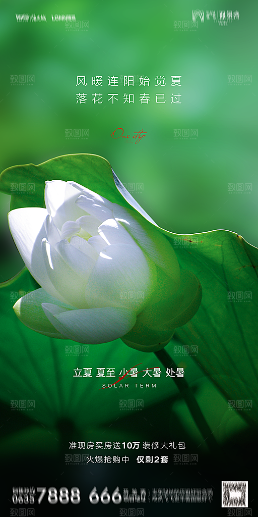 地产二十四节气立夏简约大气海报