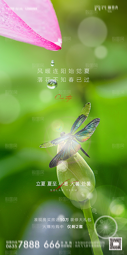 地产二十四节气立夏简约大气海报