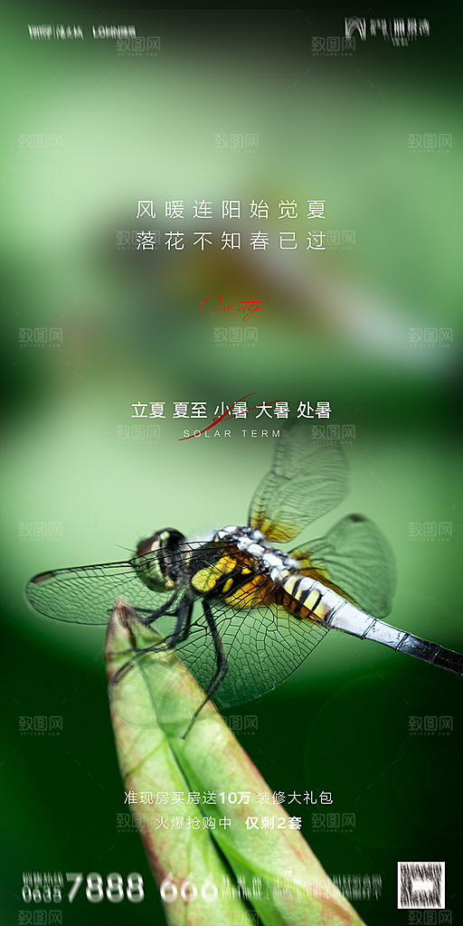 地产二十四节气立夏简约大气海报