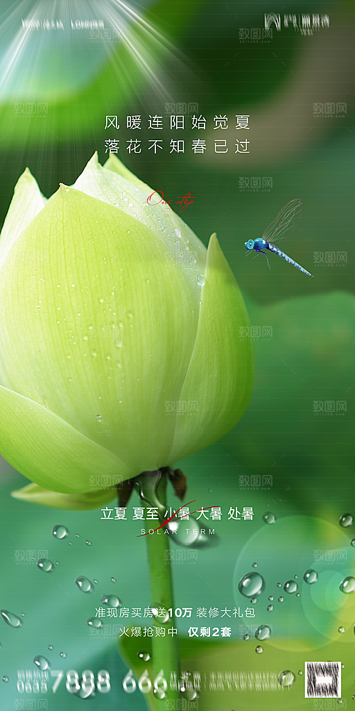 地产二十四节气立夏简约大气海报