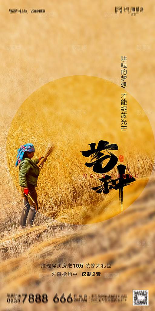地产二十四节气芒种简约大气海报