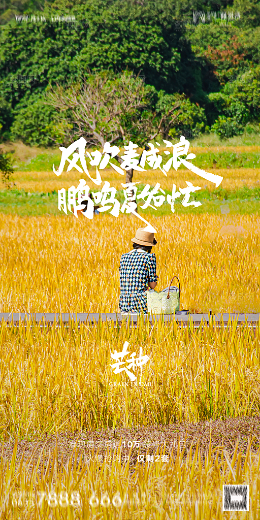 地产二十四节气芒种简约大气海报