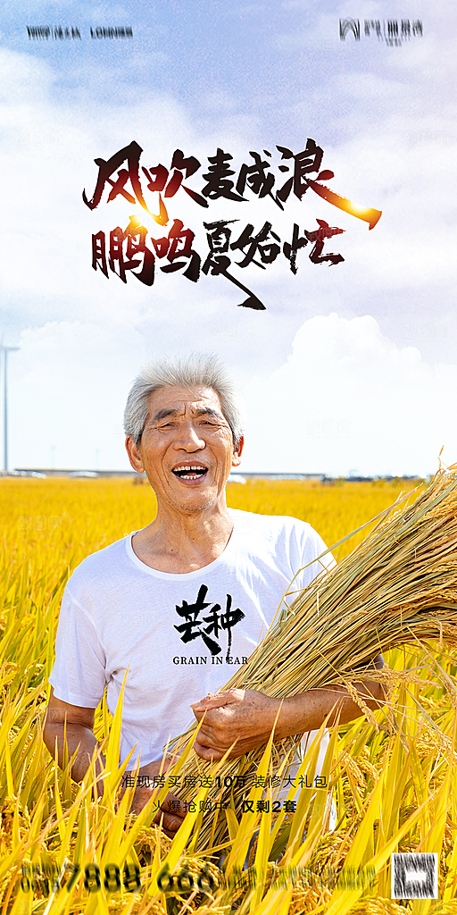 地产二十四节气芒种简约大气海报